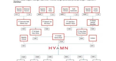 Struktur kepemilikan HKMU