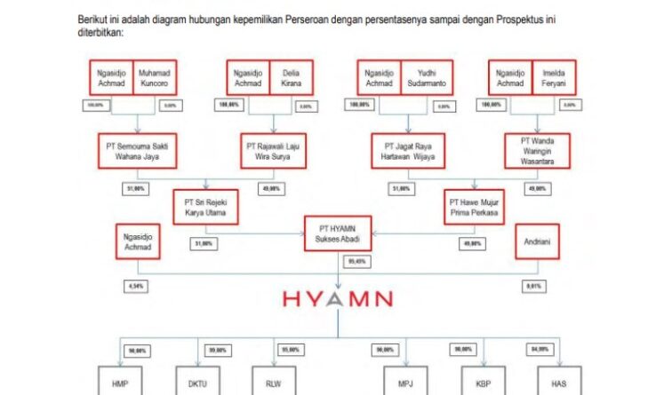 Struktur kepemilikan HKMU