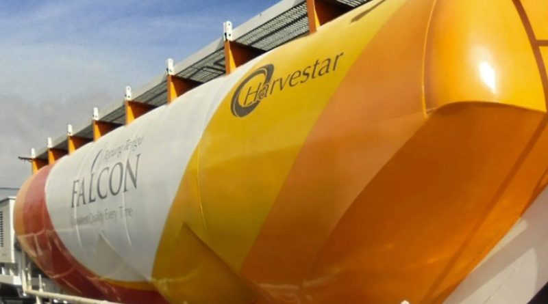 IPO Cerestar TRGU terigu Falcon