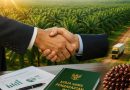 Peluang usaha merger akuisisi sawit