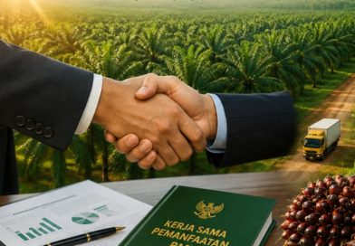 Peluang usaha merger akuisisi sawit